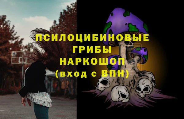 эйфоретик Каменск-Шахтинский