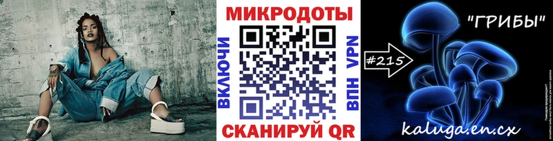 Галлюциногенные грибы Psilocybine cubensis  Омск 